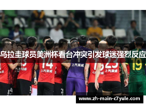 乌拉圭球员美洲杯看台冲突引发球迷强烈反应