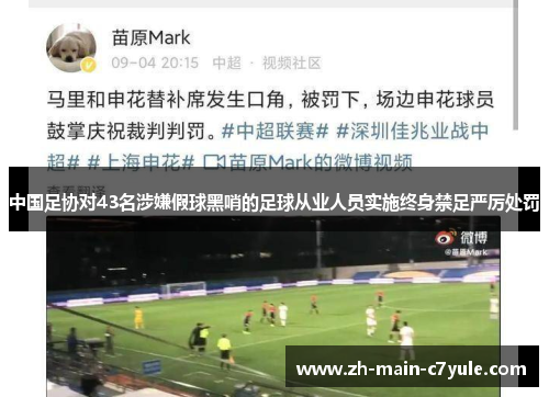 中国足协对43名涉嫌假球黑哨的足球从业人员实施终身禁足严厉处罚